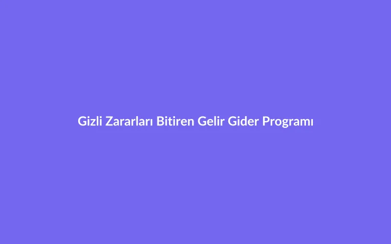 E-Ticaret ve Stoksuz Satışta Gizli Zararları Bitiren Gelir Gider Programı